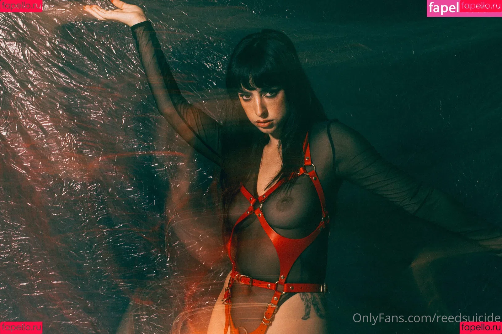 Reedsuicide Onlyfans Photo Gallery 