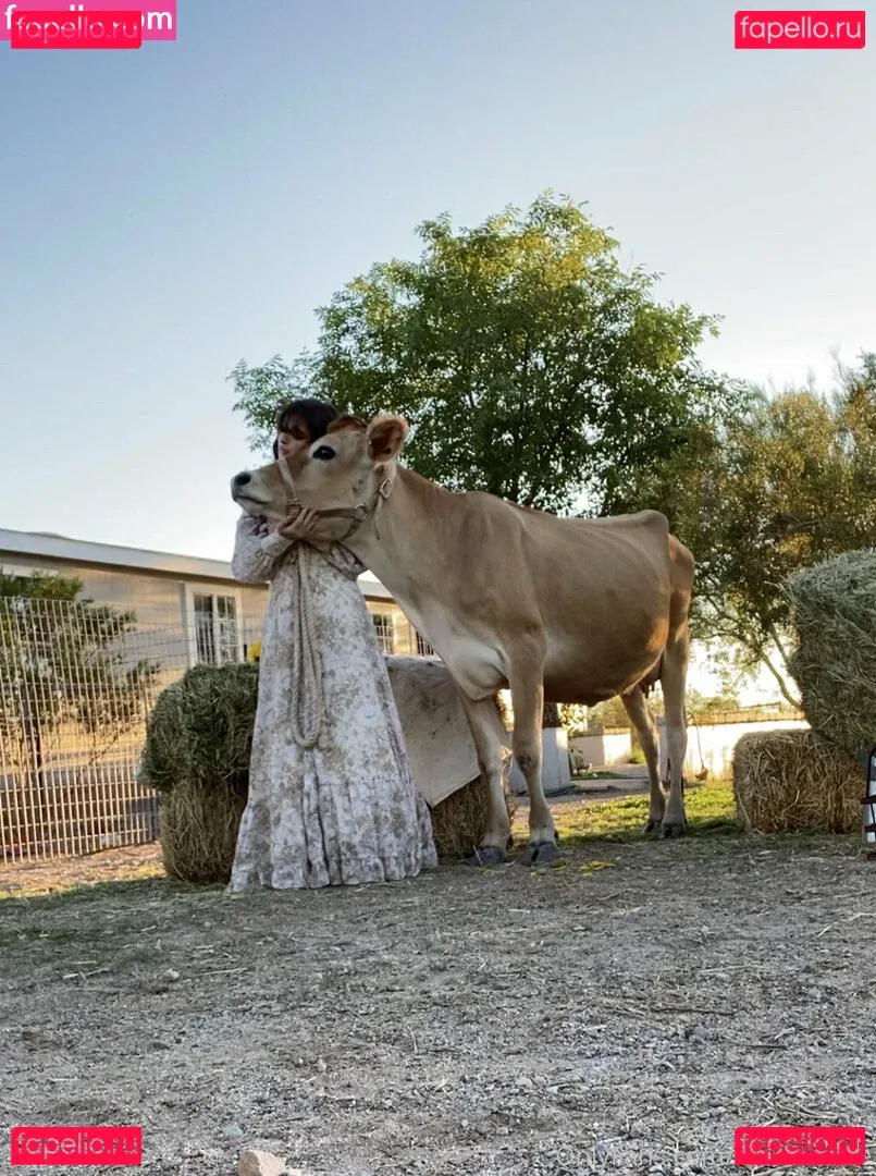 Reedsuicide Onlyfans Photo Gallery 