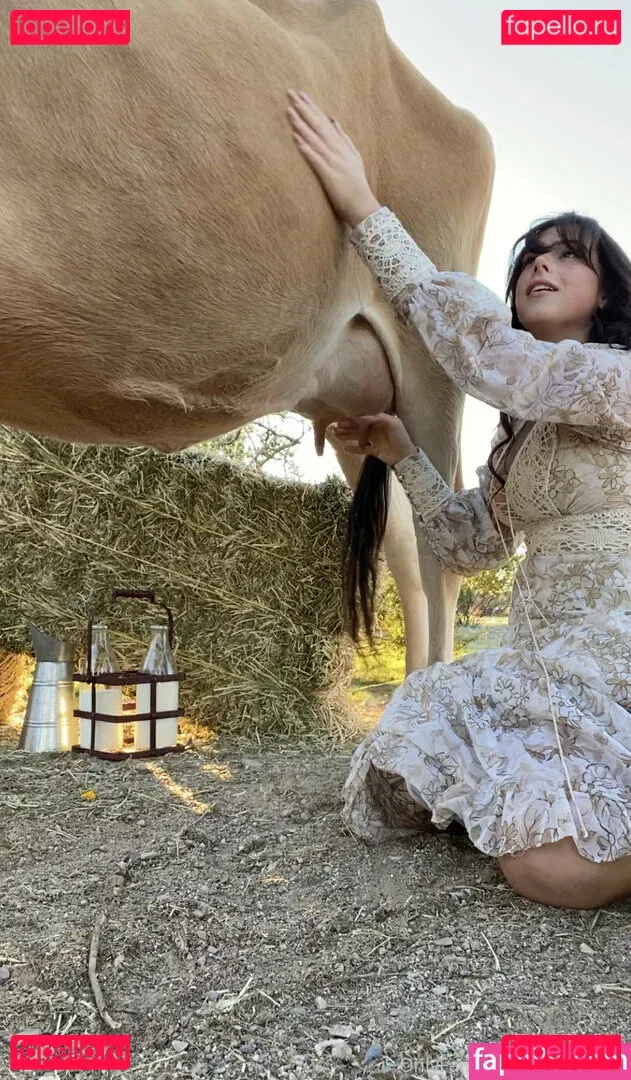 Reedsuicide Onlyfans Photo Gallery 