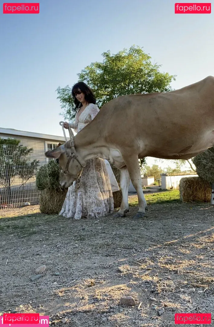 Reedsuicide Onlyfans Photo Gallery 