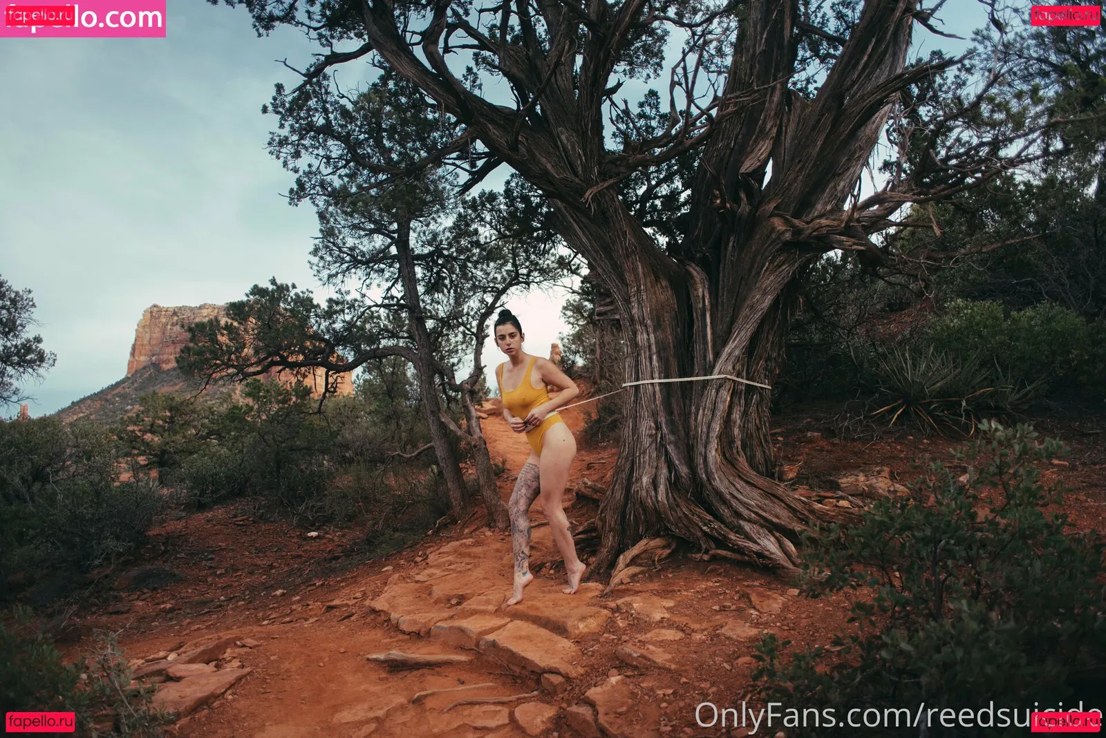 Reedsuicide Onlyfans Photo Gallery 