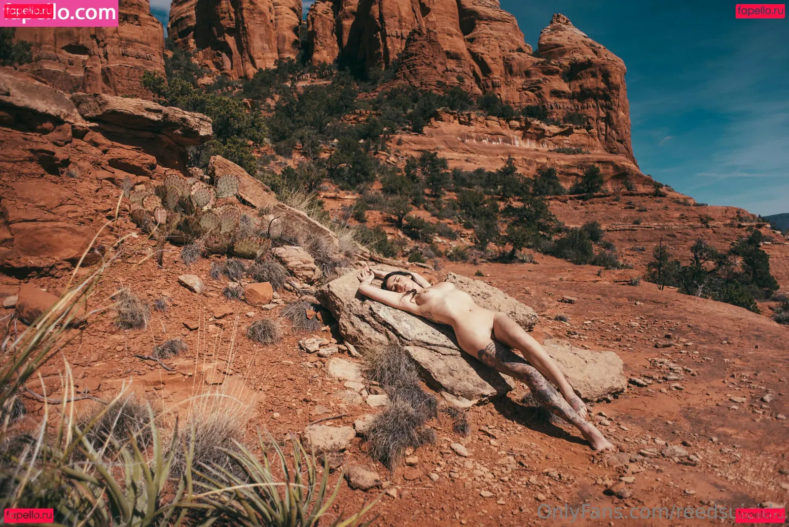 Reedsuicide Onlyfans Photo Gallery 