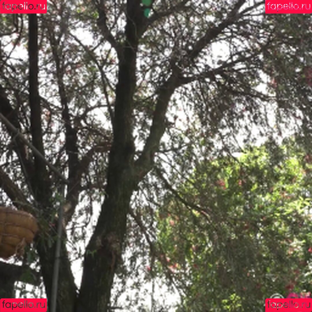 lucyadlernz Onlyfans Photo Gallery 