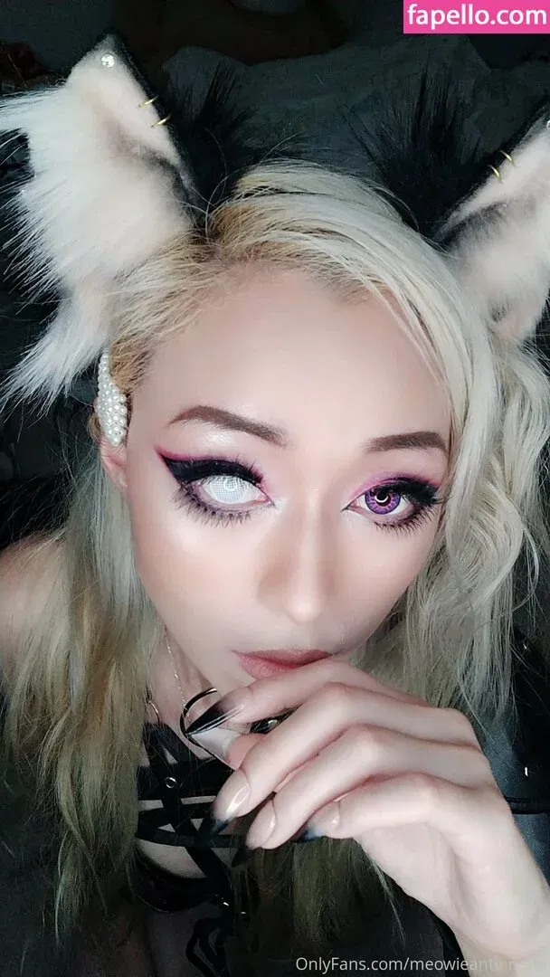 Meowieantoinette Onlyfans Photo Gallery 