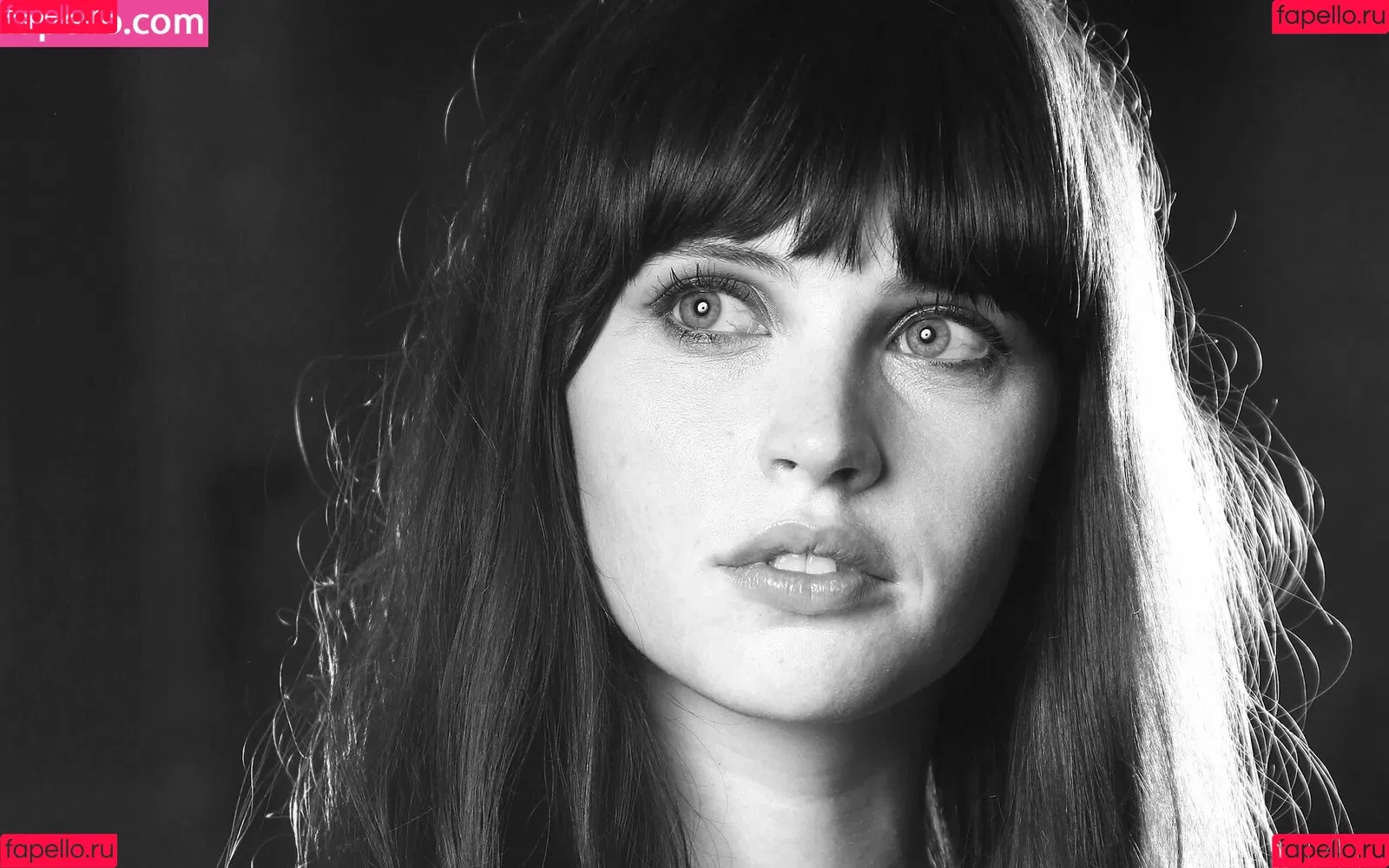 Felicity Jones Onlyfans Photo Gallery 
