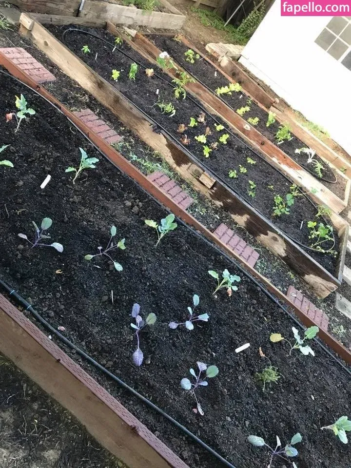 cultofjess Onlyfans Photo Gallery 