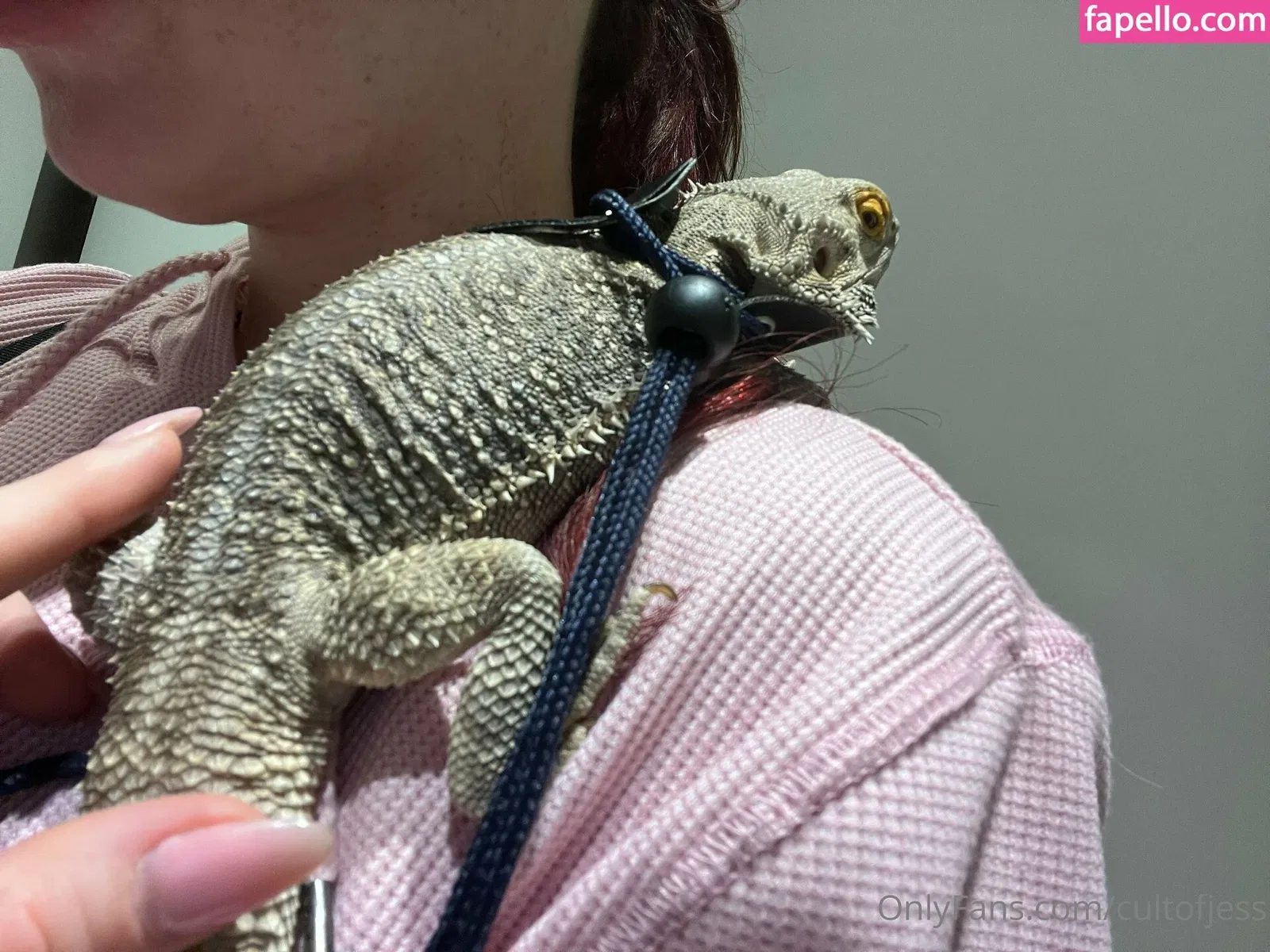 cultofjess Onlyfans Photo Gallery 