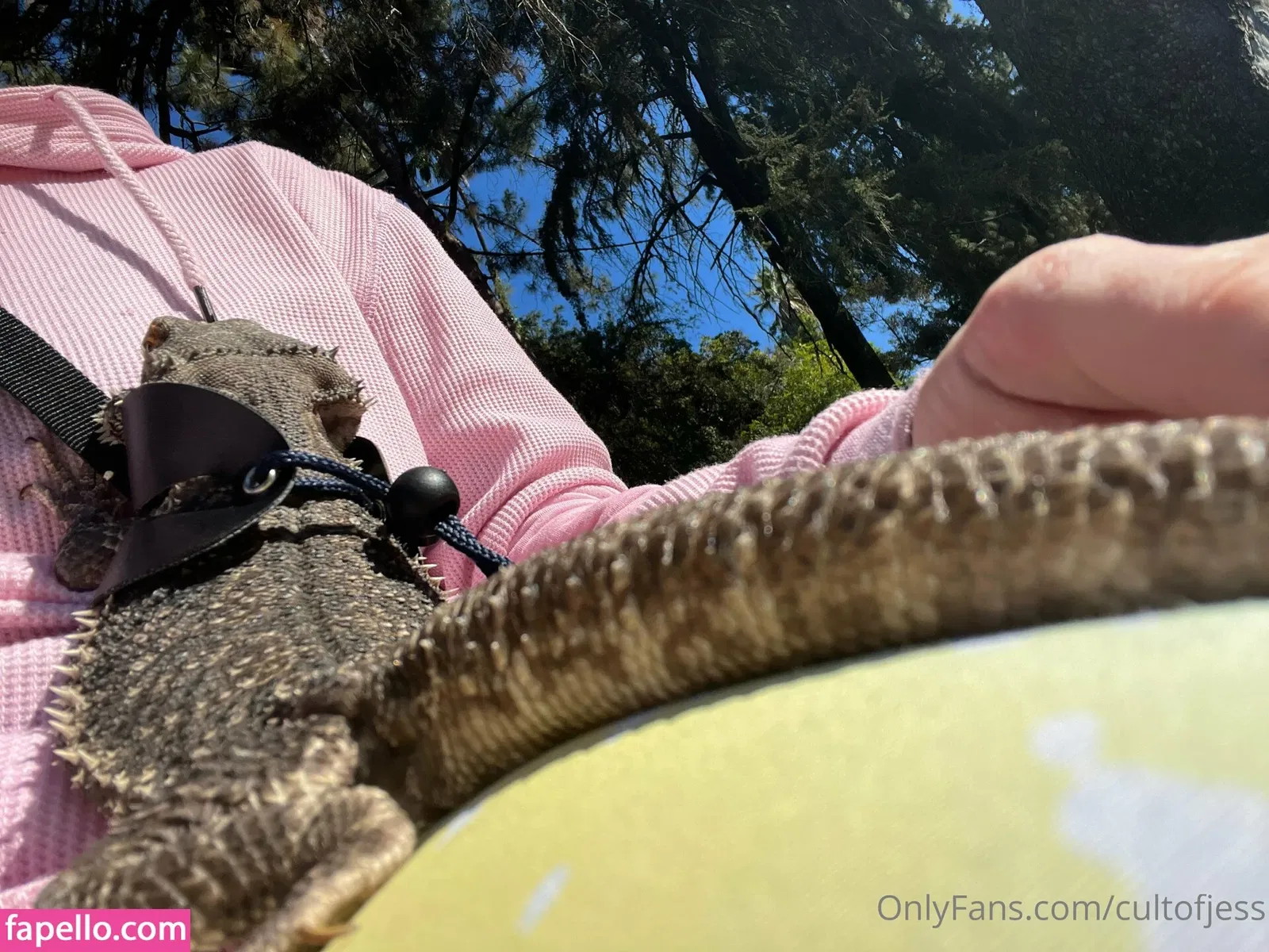 cultofjess Onlyfans Photo Gallery 