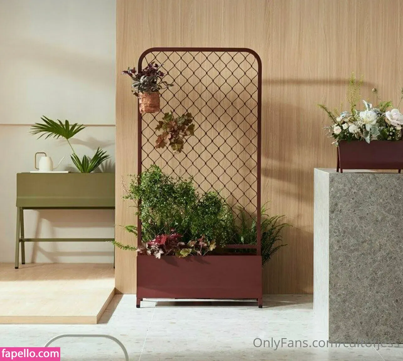 cultofjess Onlyfans Photo Gallery 