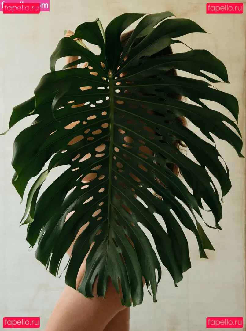 Lauren Marie Young Onlyfans Photo Gallery 