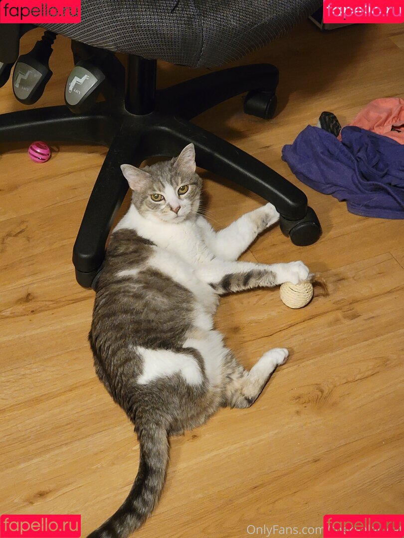 therealallicat Onlyfans Photo Gallery 