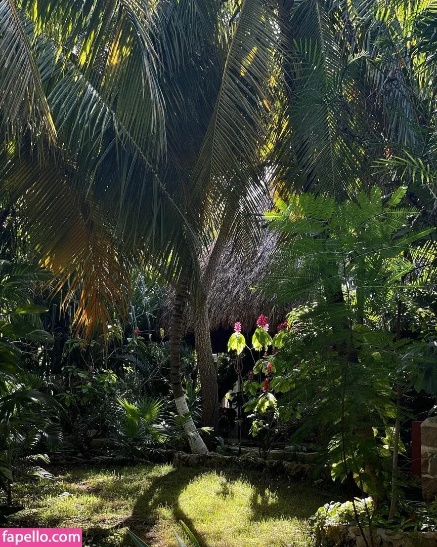 Dajinism Onlyfans Photo Gallery 