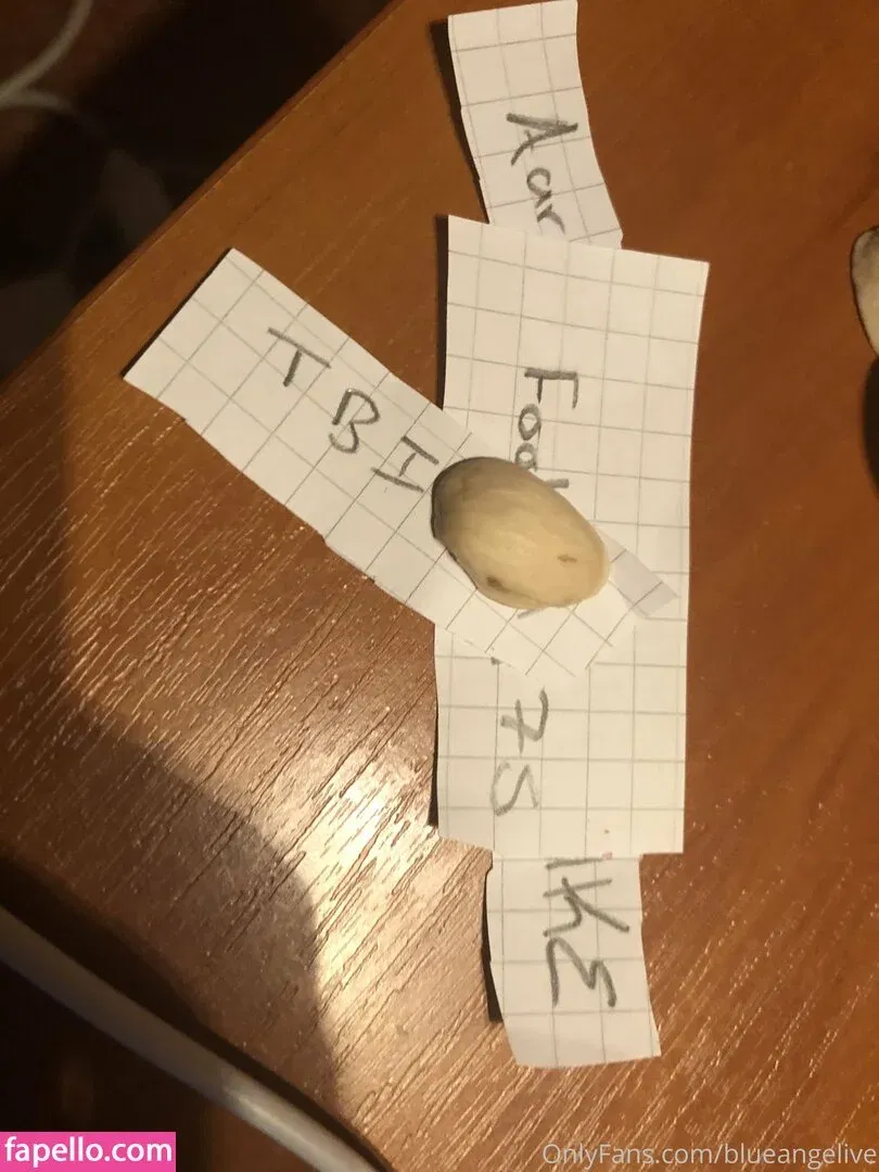 blueangelive Onlyfans Photo Gallery 