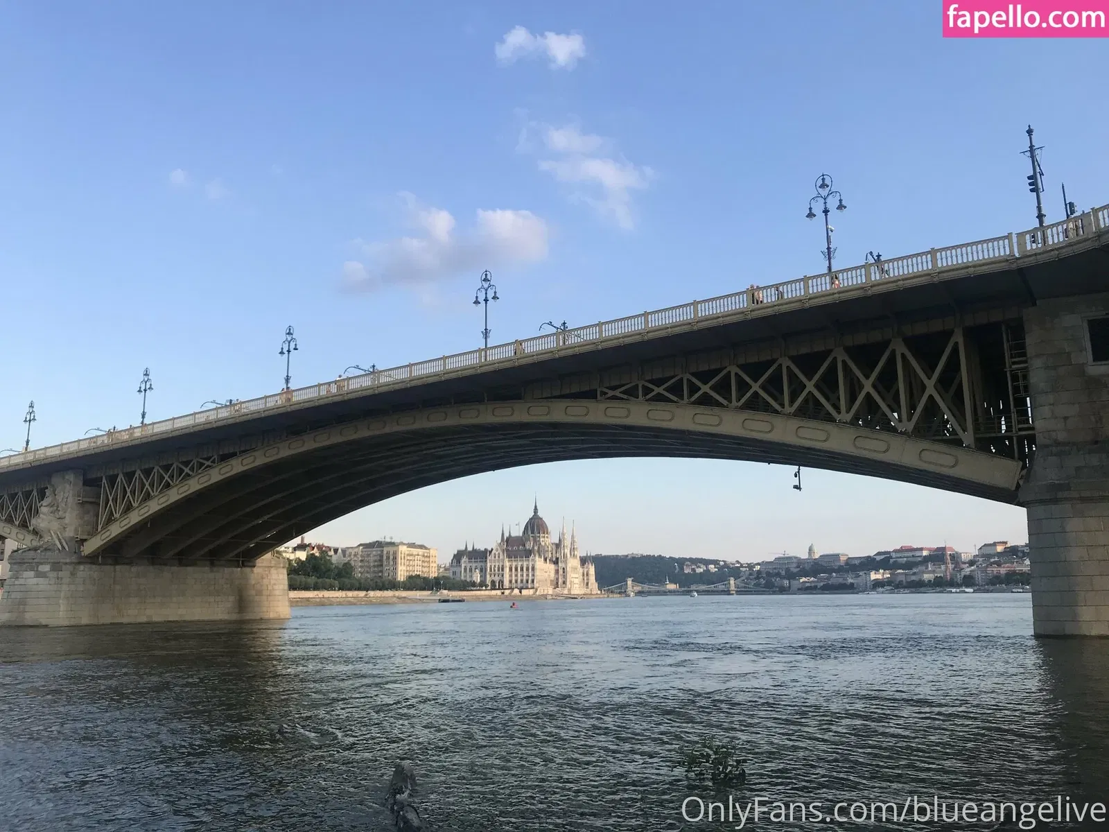 blueangelive Onlyfans Photo Gallery 