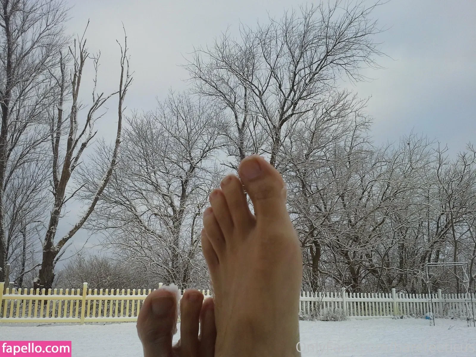 barefeeticus Onlyfans Photo Gallery 