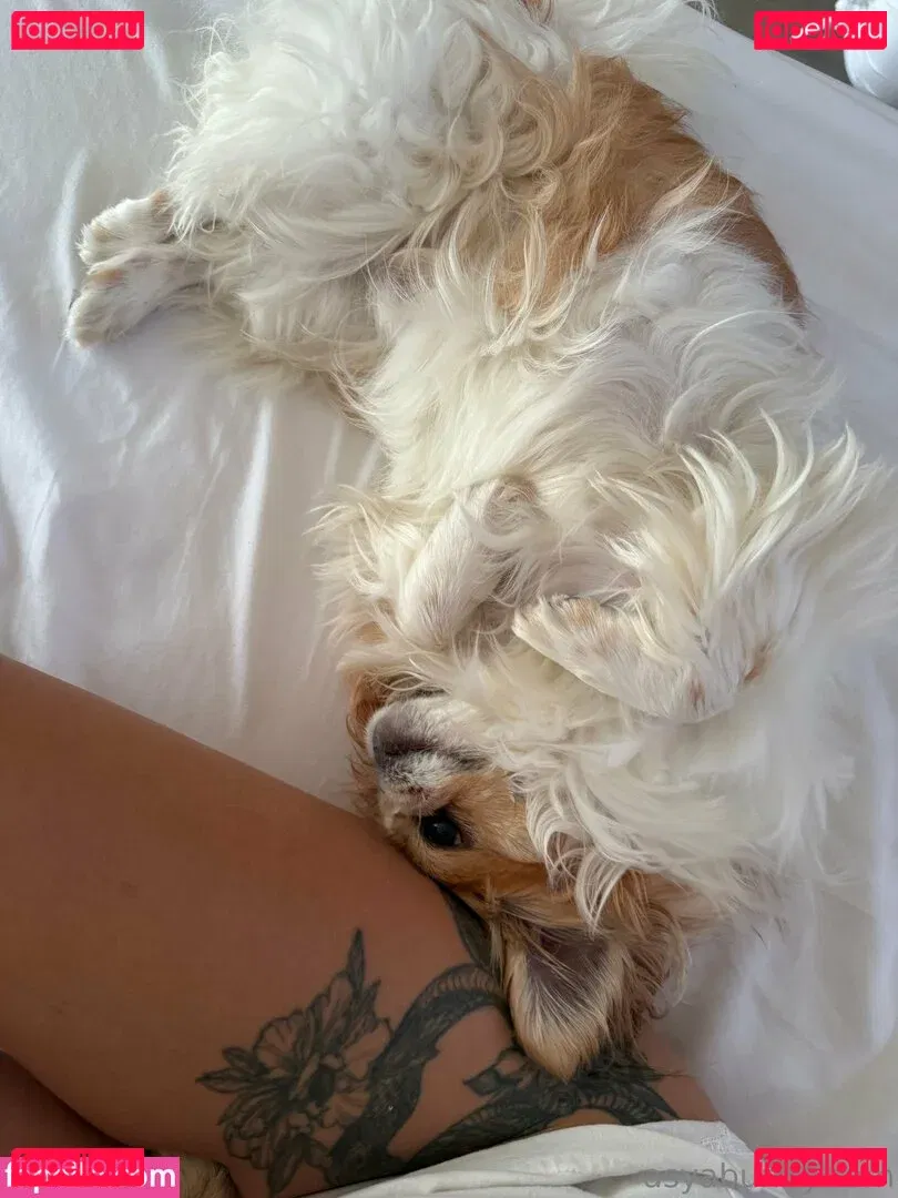 asyabunny Onlyfans Photo Gallery 