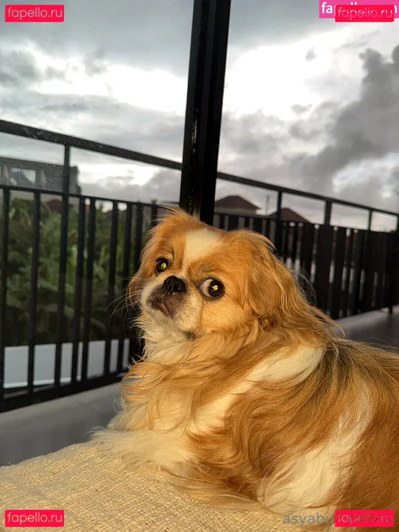 asyabunny Onlyfans Photo Gallery 