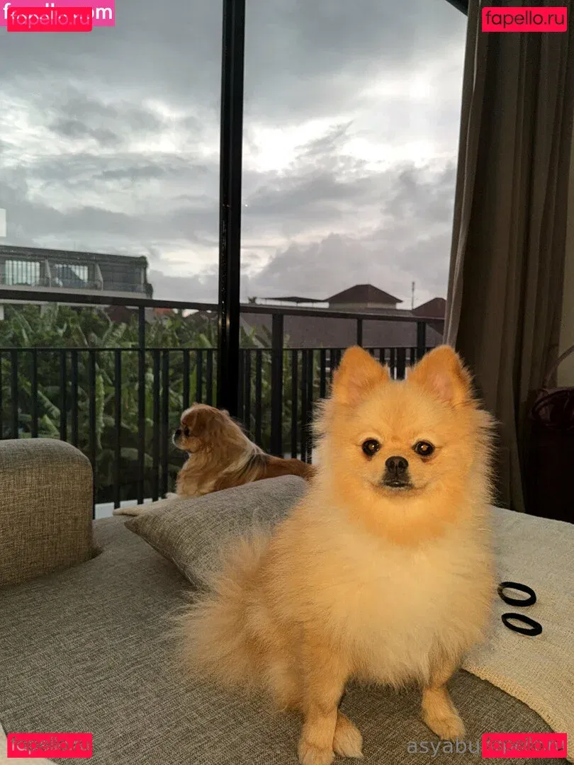 asyabunny Onlyfans Photo Gallery 