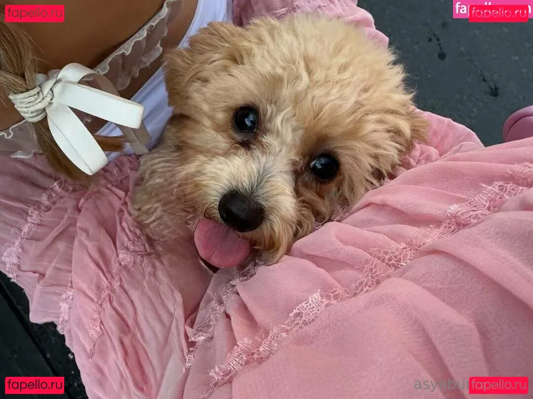 asyabunny Onlyfans Photo Gallery 