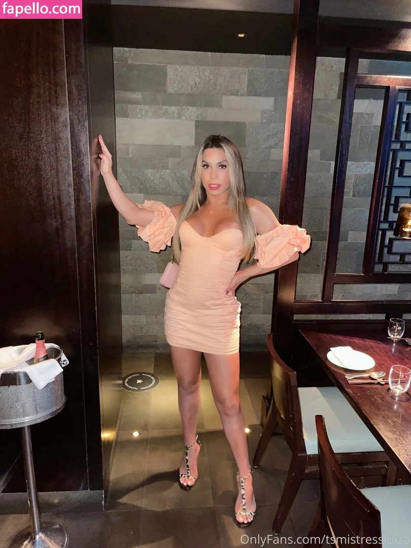 tsmistressluiza Onlyfans Photo Gallery 