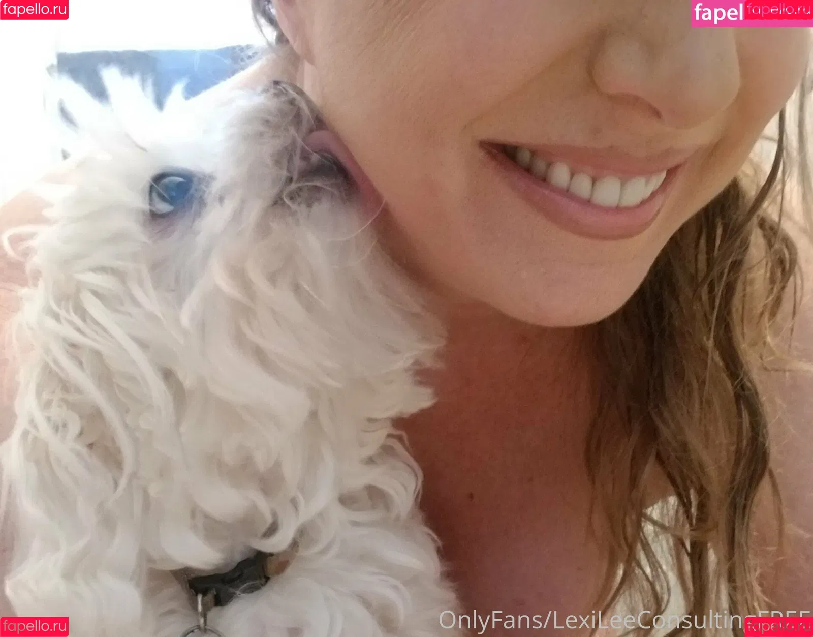 kamcamcamsfree Onlyfans Photo Gallery 