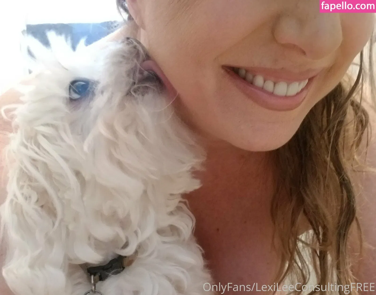 kamcamcamsfree Onlyfans Photo Gallery 