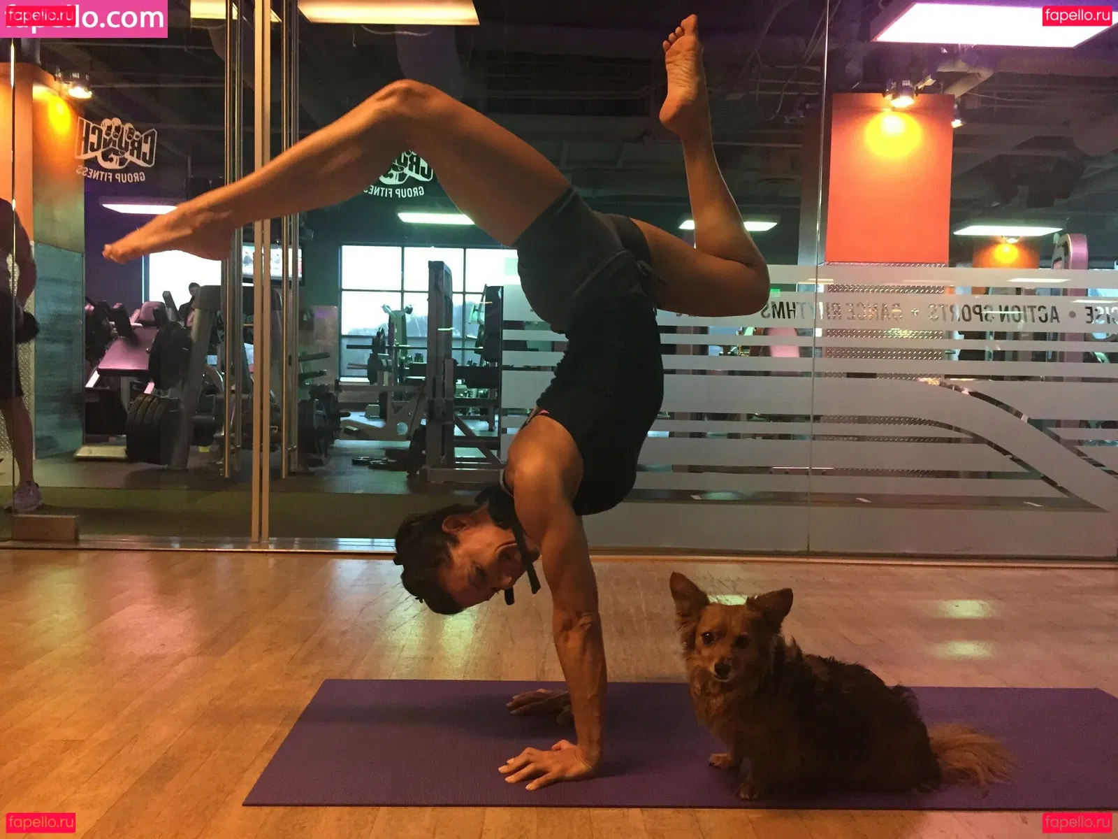 Iliza Shlesinger Onlyfans Photo Gallery 