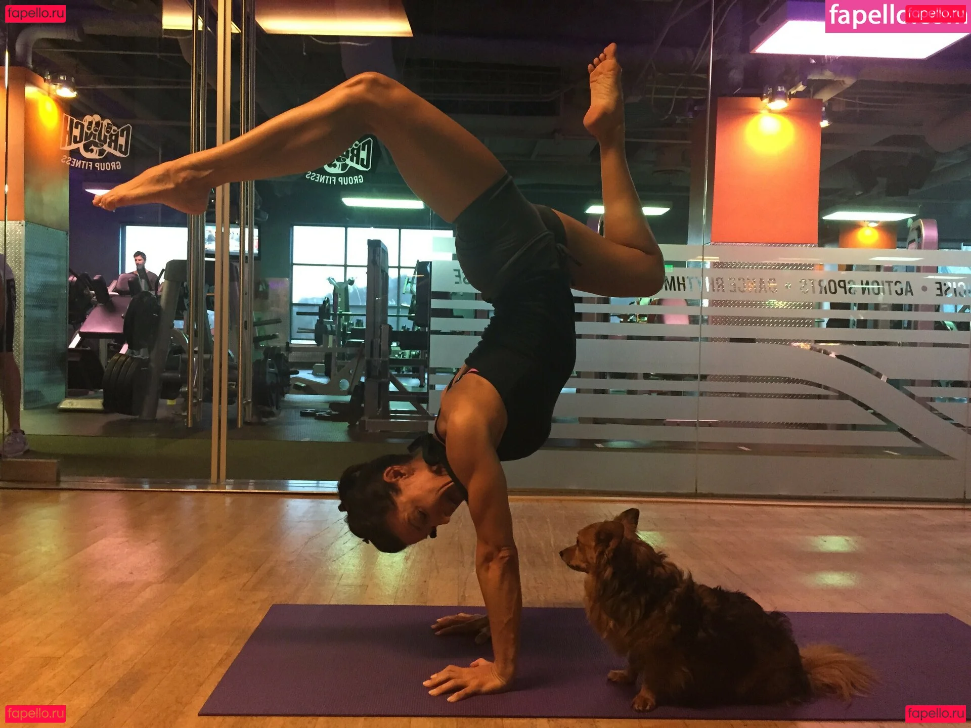 Iliza Shlesinger Onlyfans Photo Gallery 