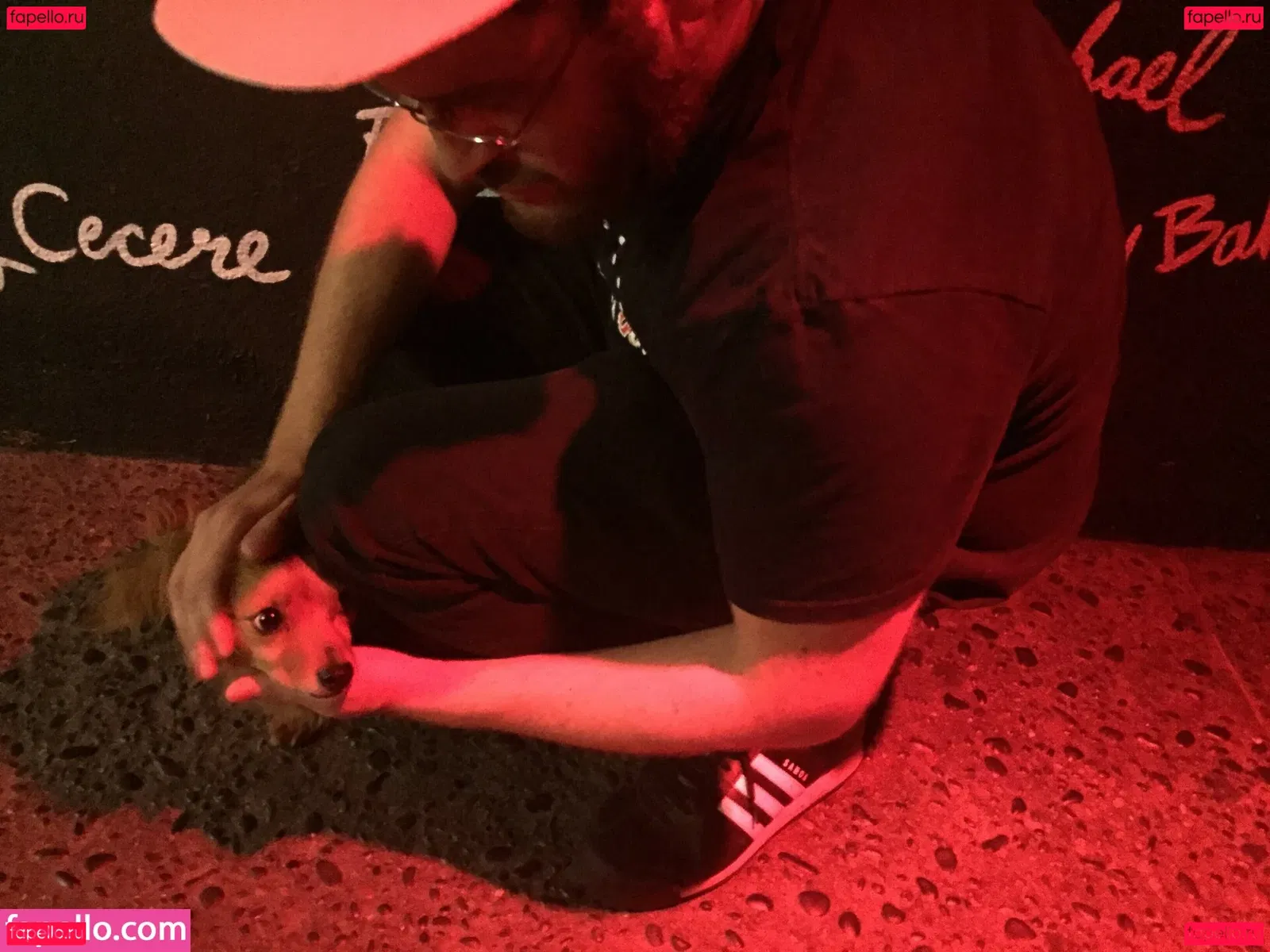 Iliza Shlesinger Onlyfans Photo Gallery 