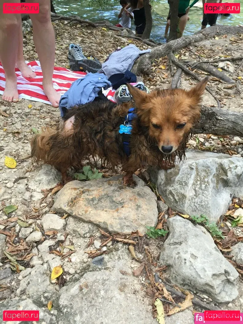 Iliza Shlesinger Onlyfans Photo Gallery 