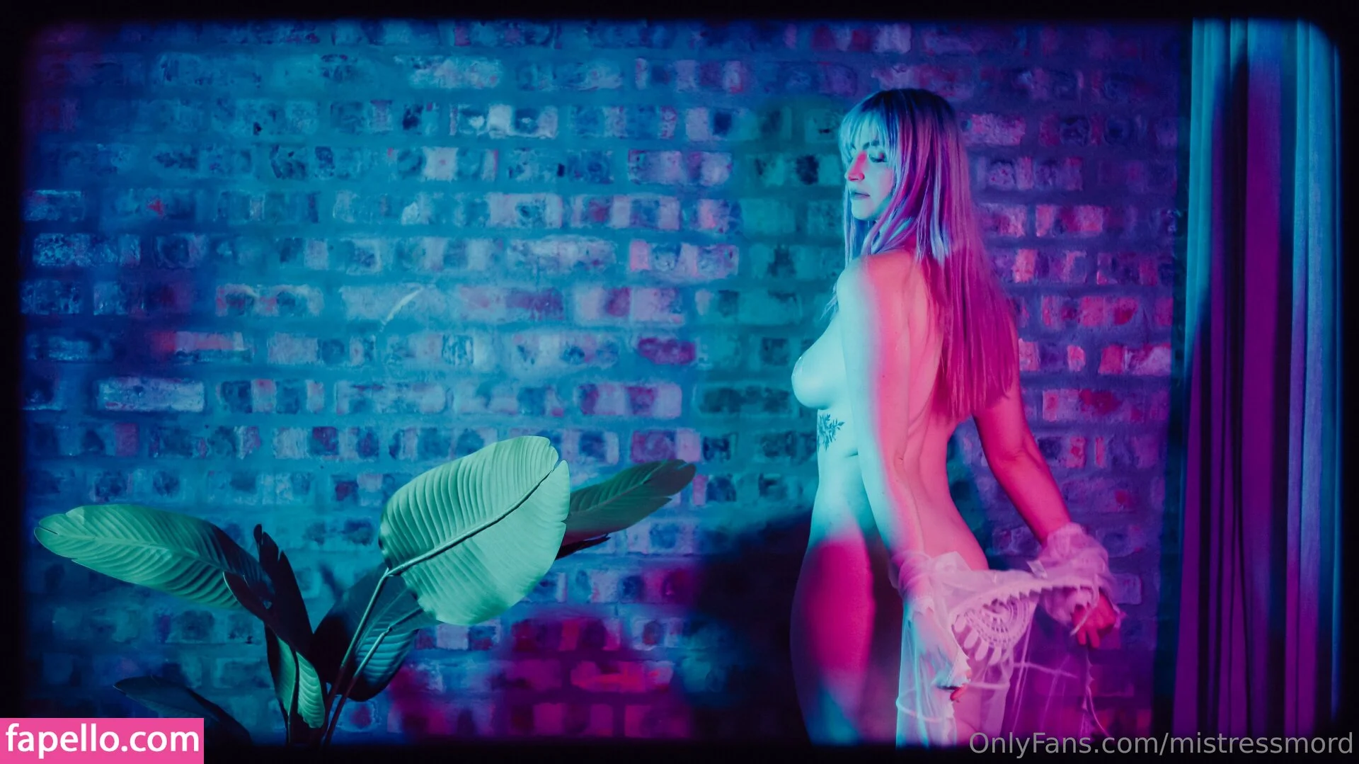 mistressmord Onlyfans Photo Gallery 