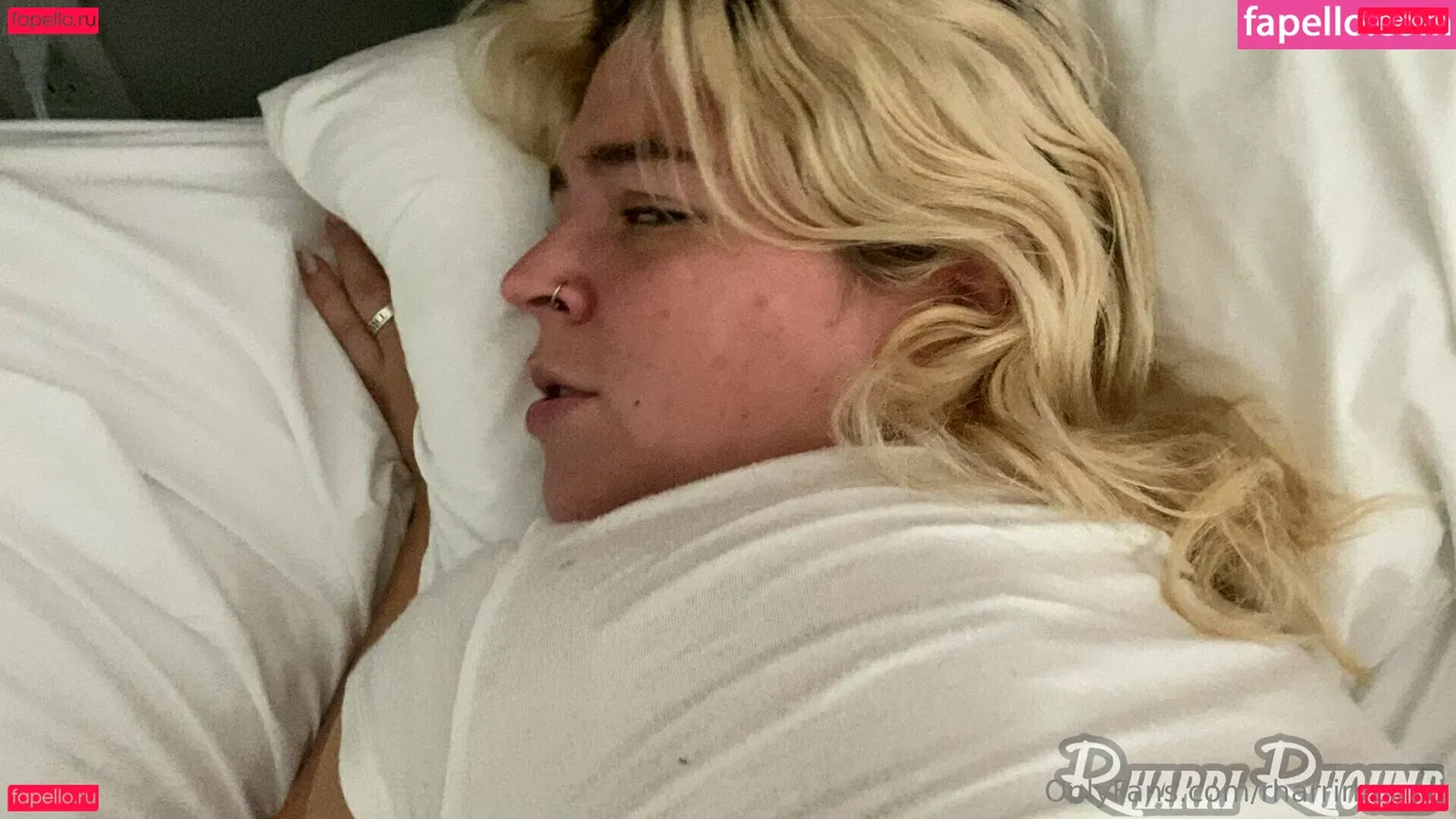 Rharrirhound Onlyfans Photo Gallery 