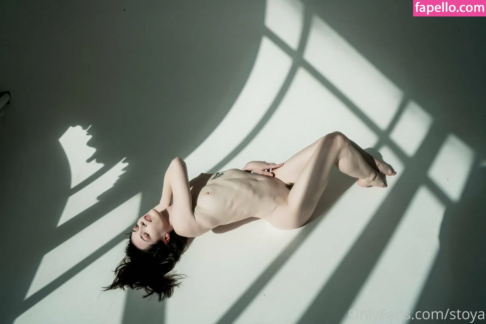 Stoya Onlyfans Photo Gallery 