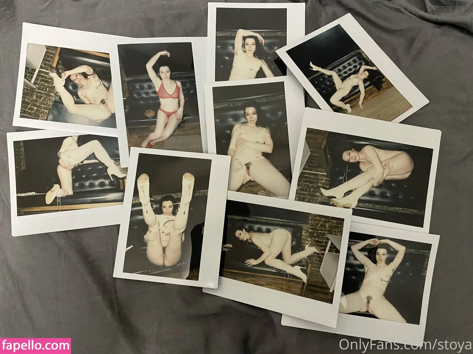 Stoya Onlyfans Photo Gallery 