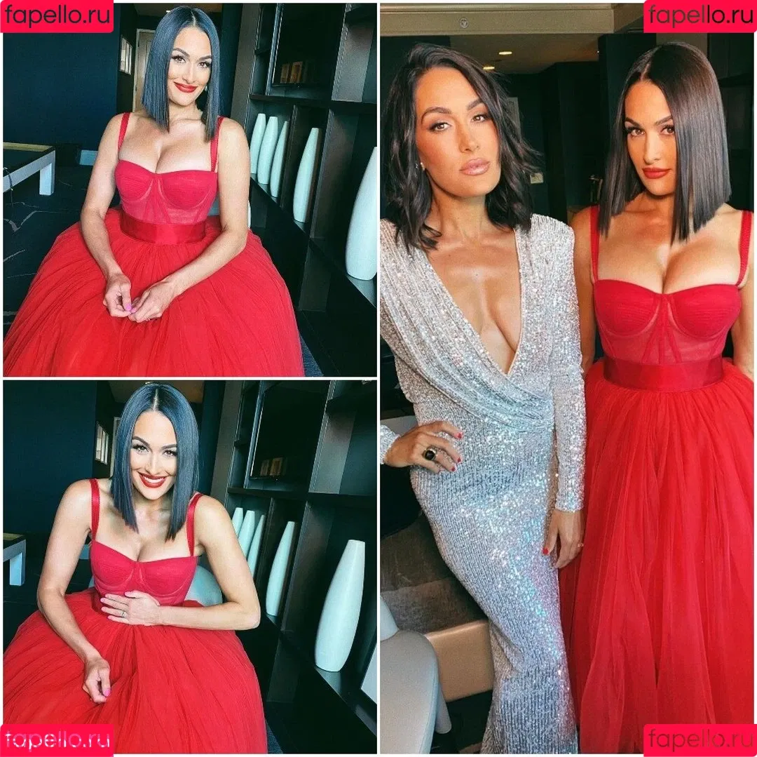 The Bella Twins: Onlyfans Photo Gallery 