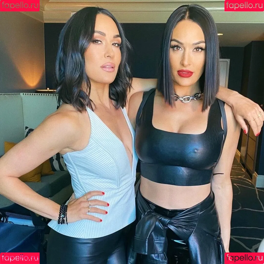 The Bella Twins: Onlyfans Photo Gallery 