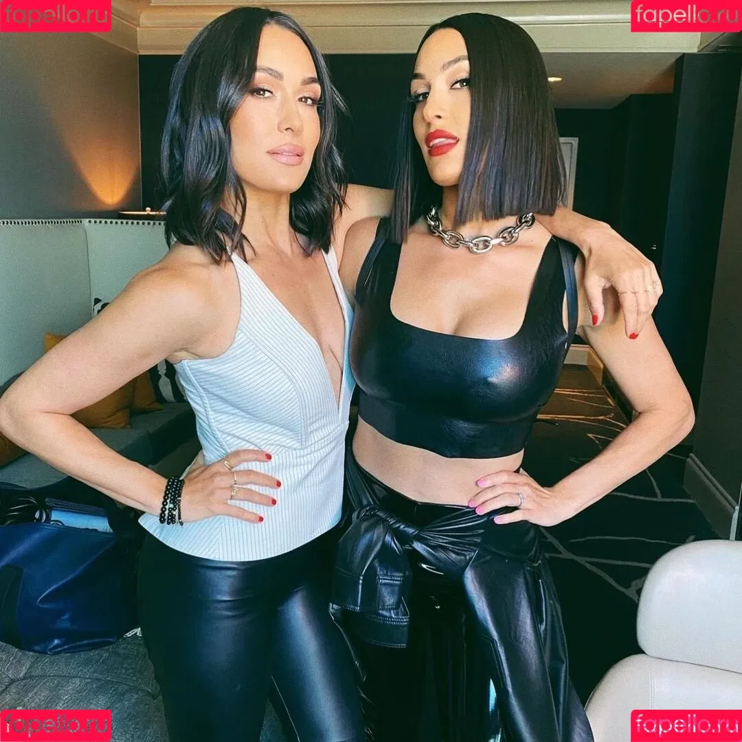 The Bella Twins: Onlyfans Photo Gallery 