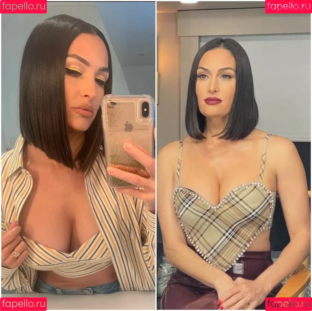 The Bella Twins: Onlyfans Photo Gallery 