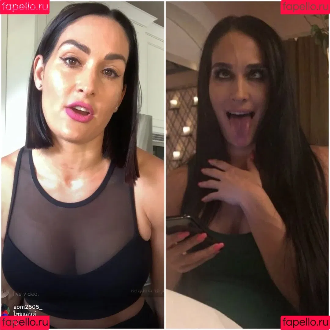The Bella Twins: Onlyfans Photo Gallery 