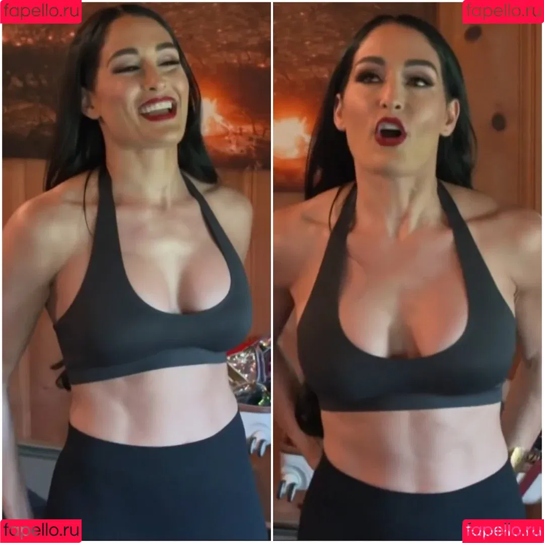 The Bella Twins: Onlyfans Photo Gallery 