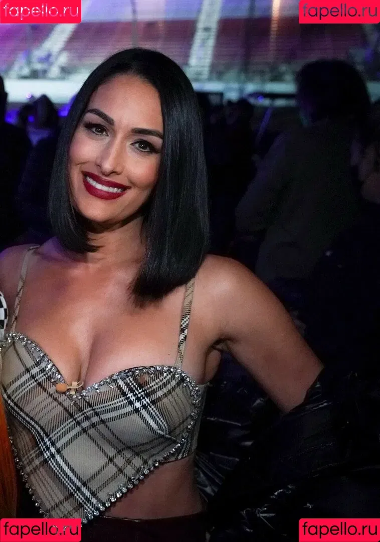 The Bella Twins: Onlyfans Photo Gallery 