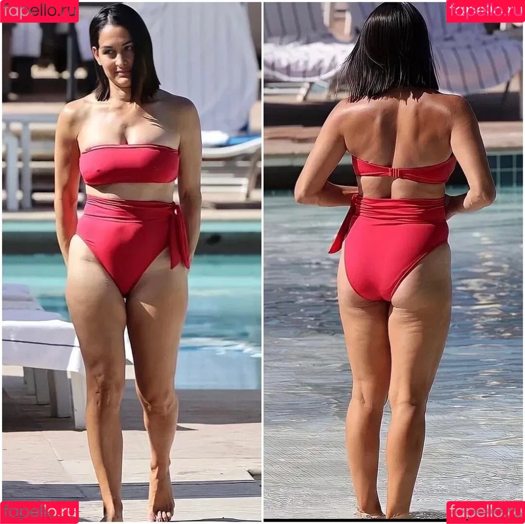 The Bella Twins: Onlyfans Photo Gallery 