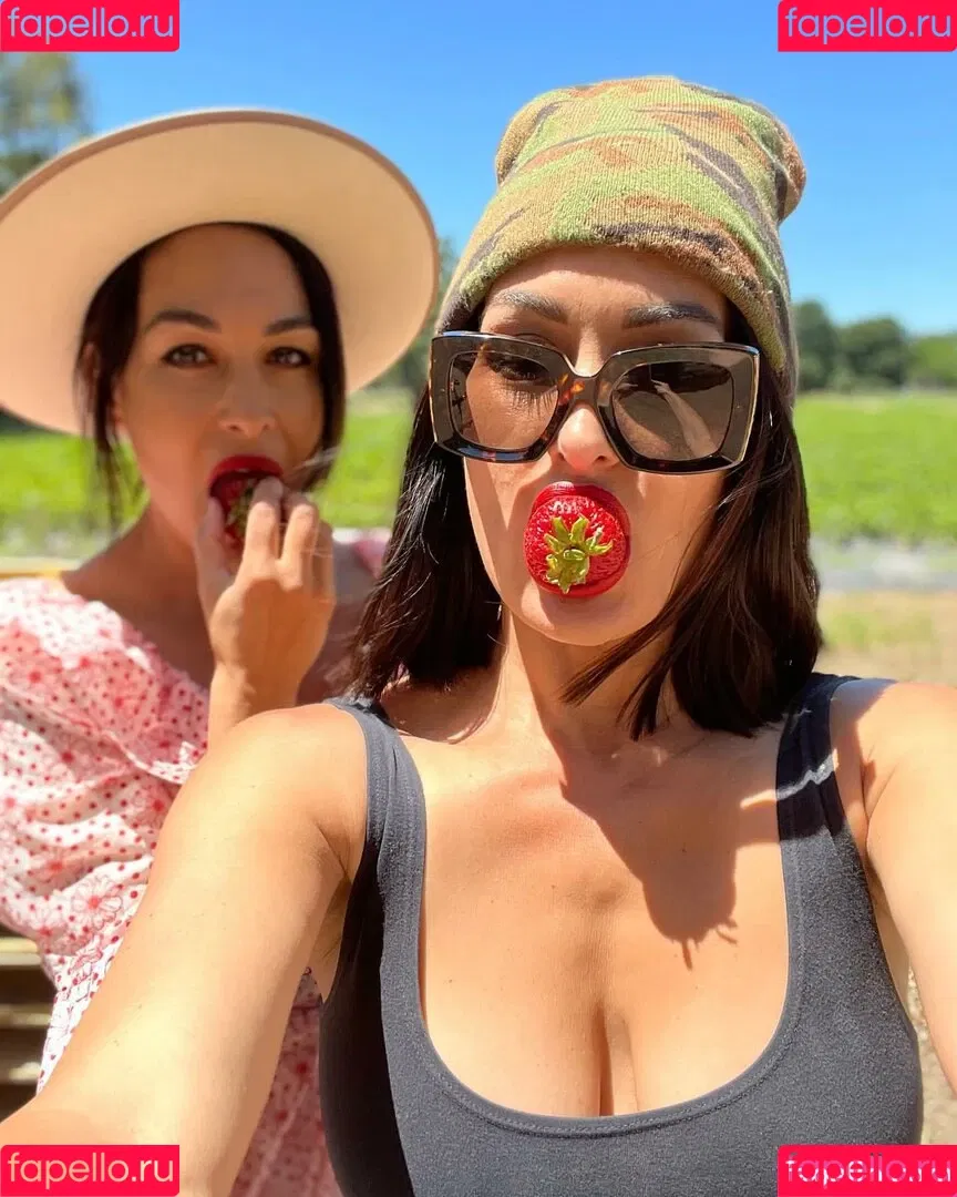 The Bella Twins: Onlyfans Photo Gallery 