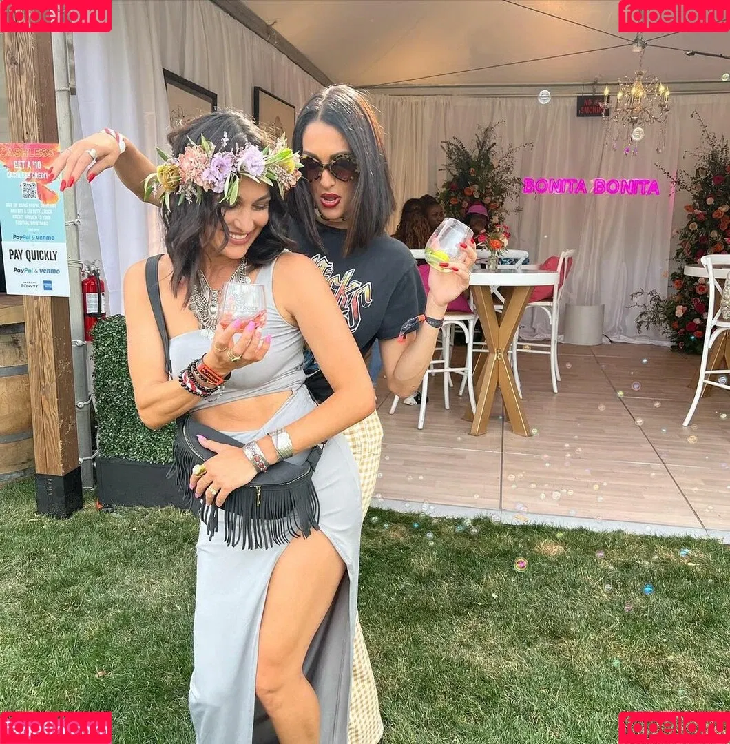 The Bella Twins: Onlyfans Photo Gallery 