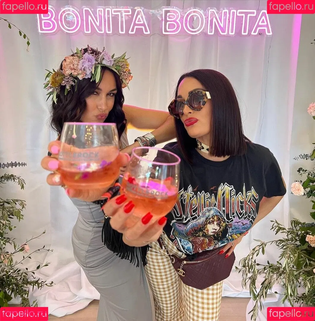The Bella Twins: Onlyfans Photo Gallery 
