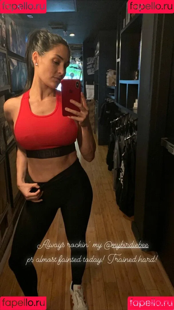 The Bella Twins: Onlyfans Photo Gallery 