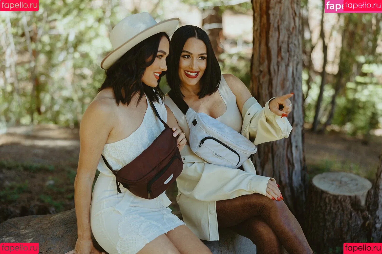 The Bella Twins: Onlyfans Photo Gallery 