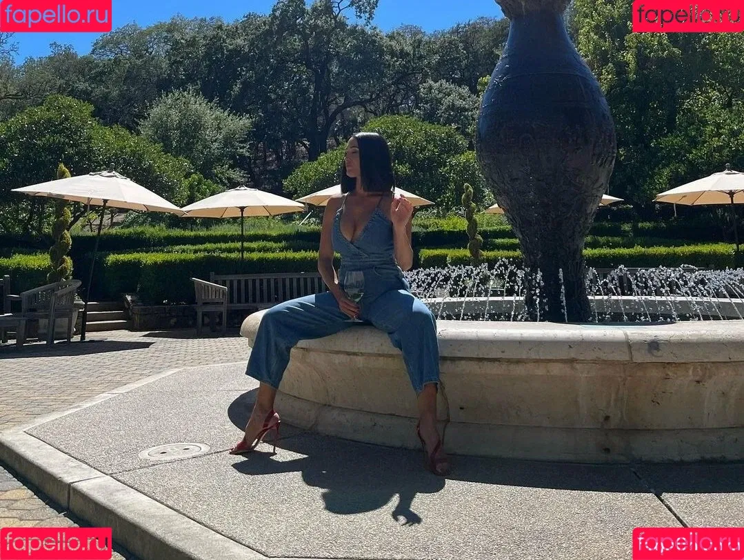 The Bella Twins: Onlyfans Photo Gallery 