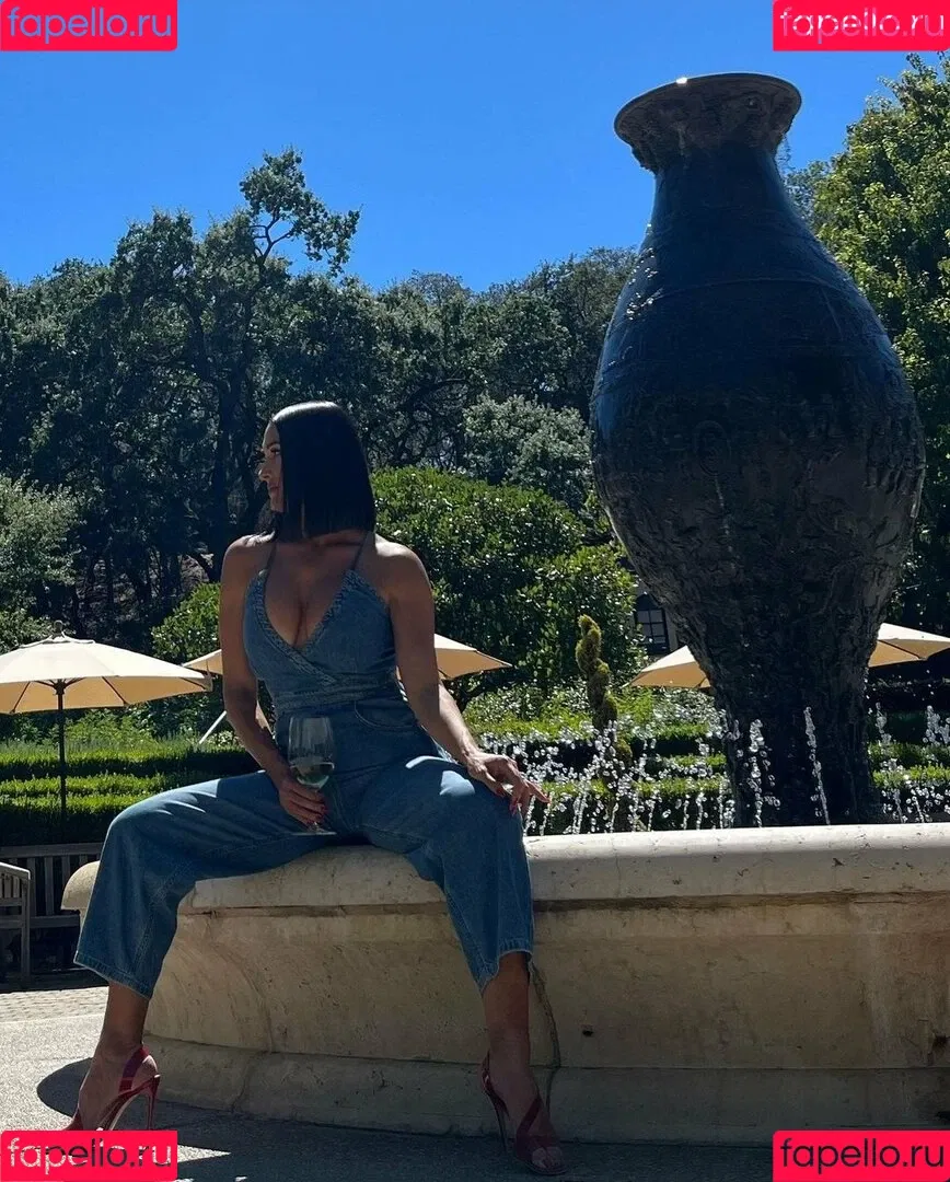 The Bella Twins: Onlyfans Photo Gallery 