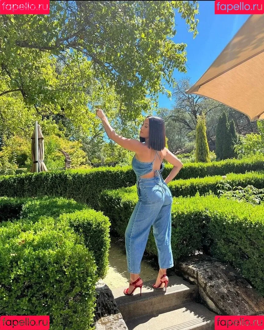 The Bella Twins: Onlyfans Photo Gallery 